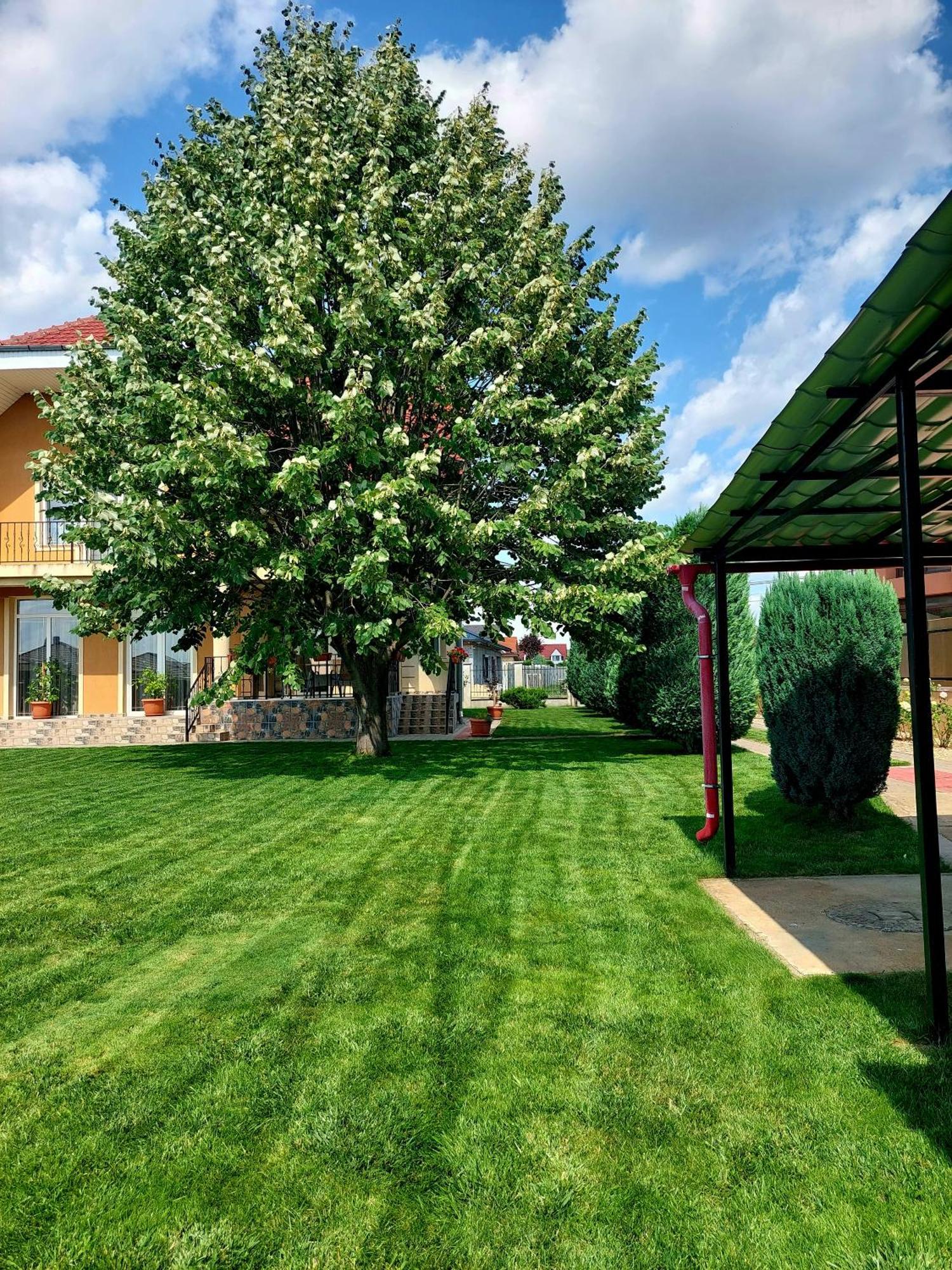 Casuta Cu Tei Villa Орадеа Екстериор снимка